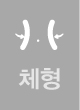 체형